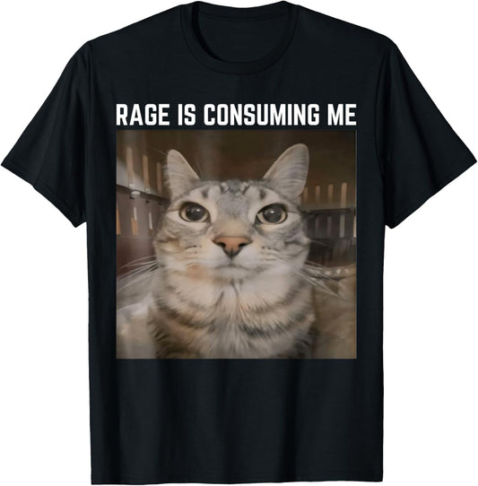 Rage Is Consuming Me Meme Cat Meme Oddly Specific Memes Joke T-Shirt