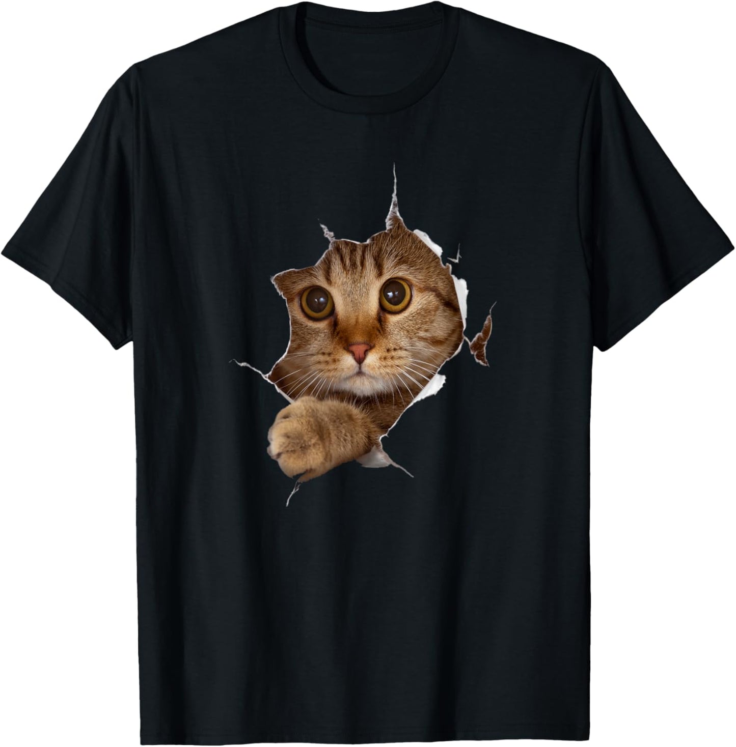 Sweet Kitten Torn Cloth - Funny Cat Lover Cat Owner Cat Lady T-Shirt