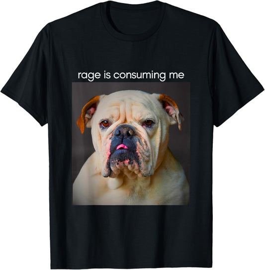 Rage Is Consuming Me Silly Staring Dog Meme T-Shirt