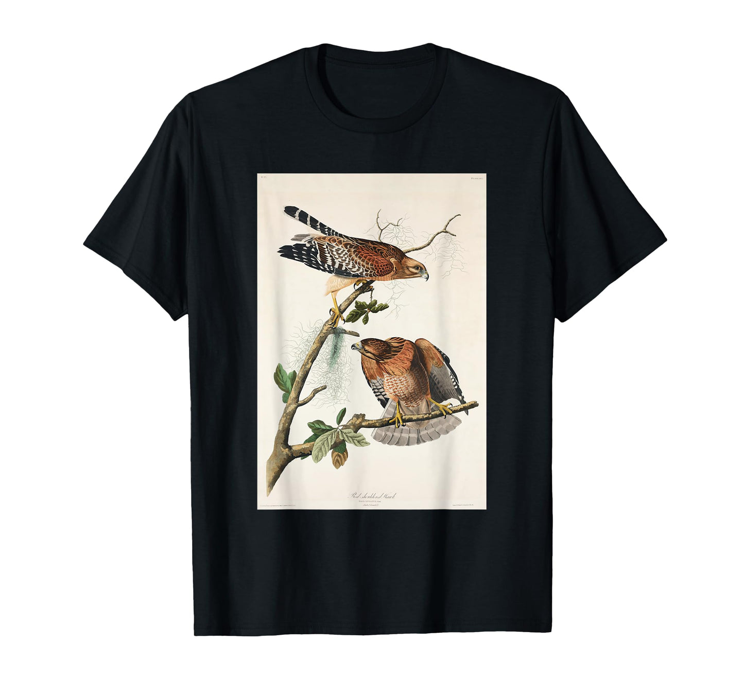 Vintage Red-Shouldered Hawks Birds Illustration Men & Women T-Shirt