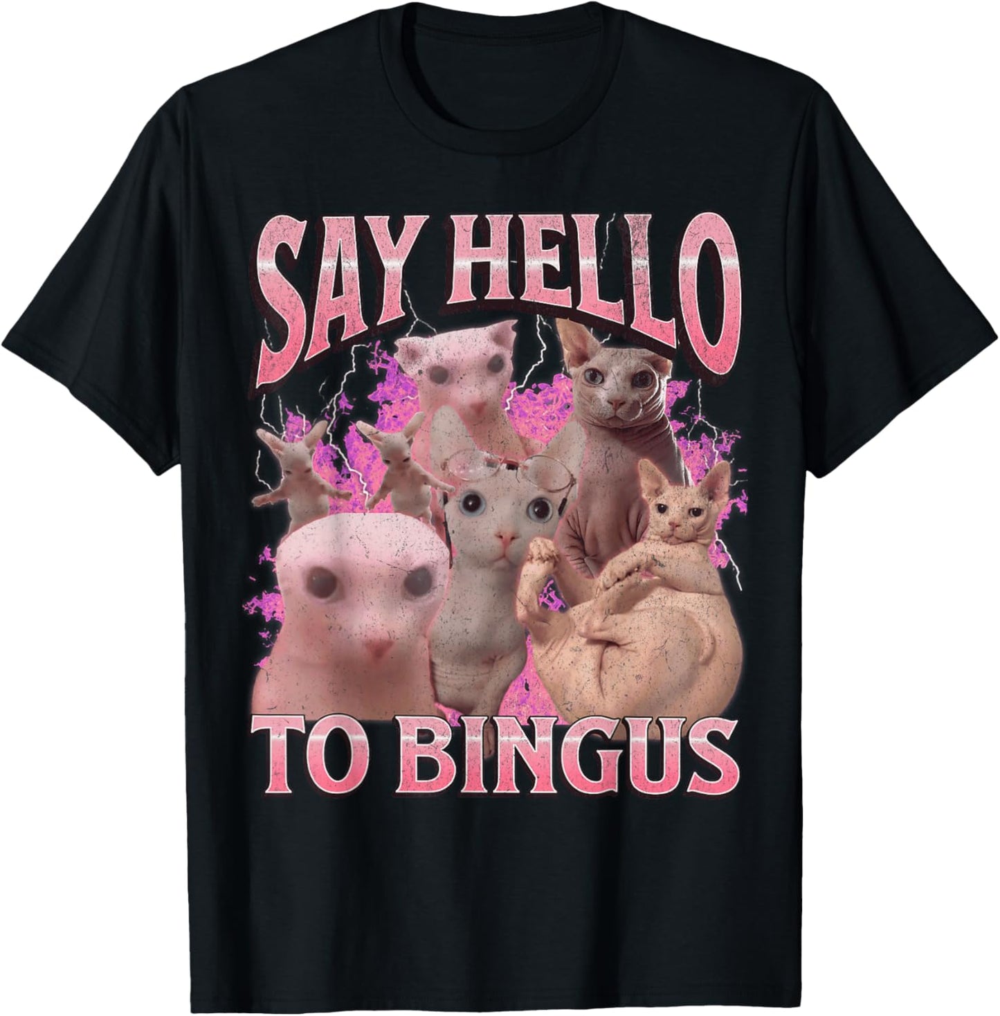 Say Hello To Bingus Funny Sphinx Cat Meme Bootleg Graphic T-Shirt