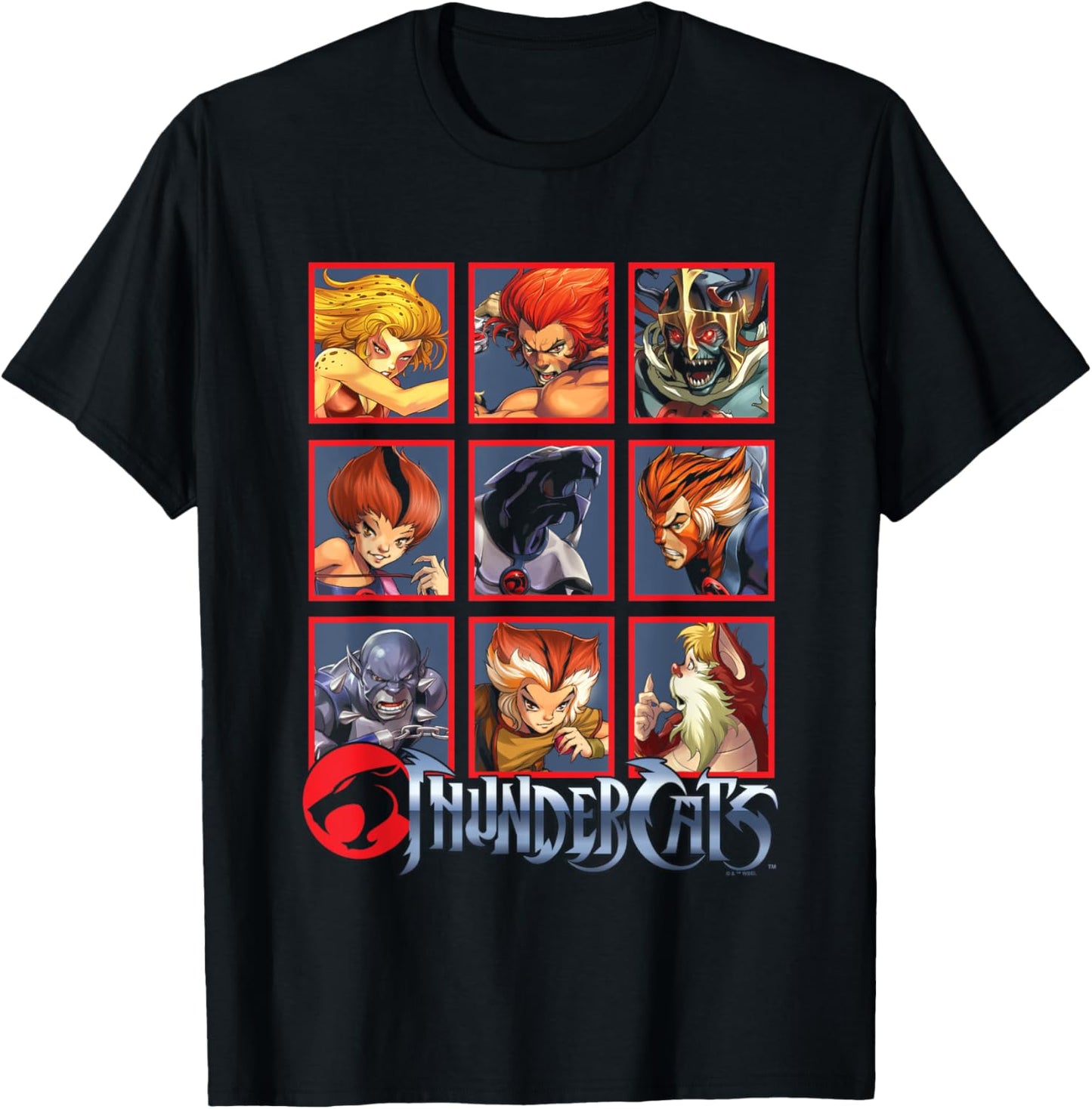 ThunderCats Bring The Thunder Vintage Box Up T-Shirt