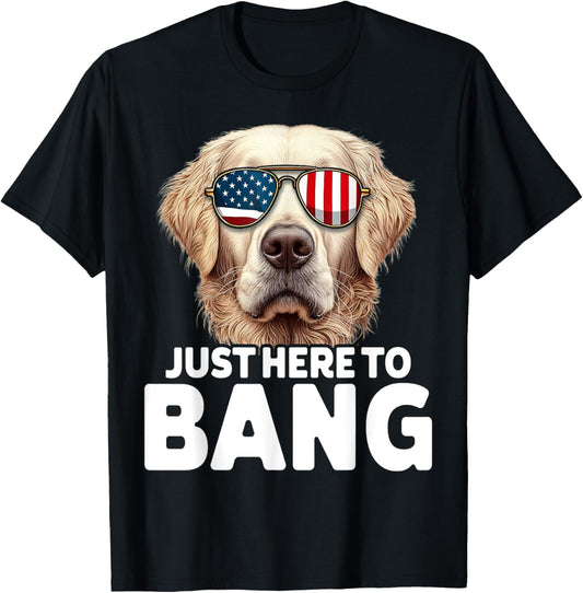 Golden Retriever 4th Of July Gifts Men Women Patriotic T-Shirt