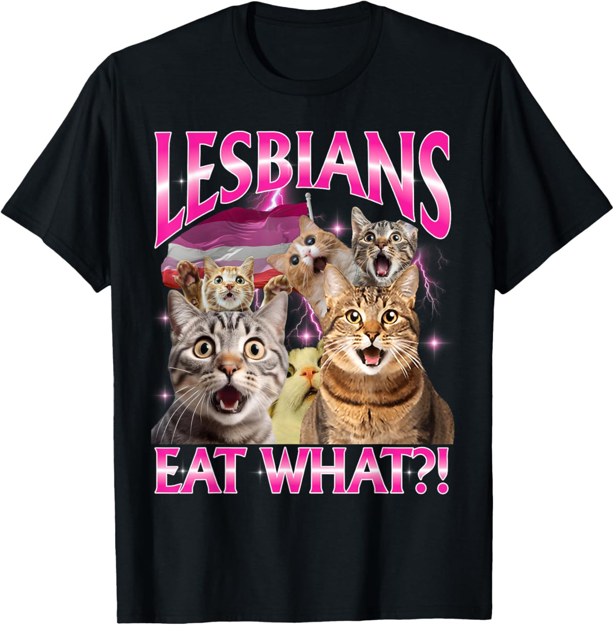 LGBTQ Pun T-Shirt