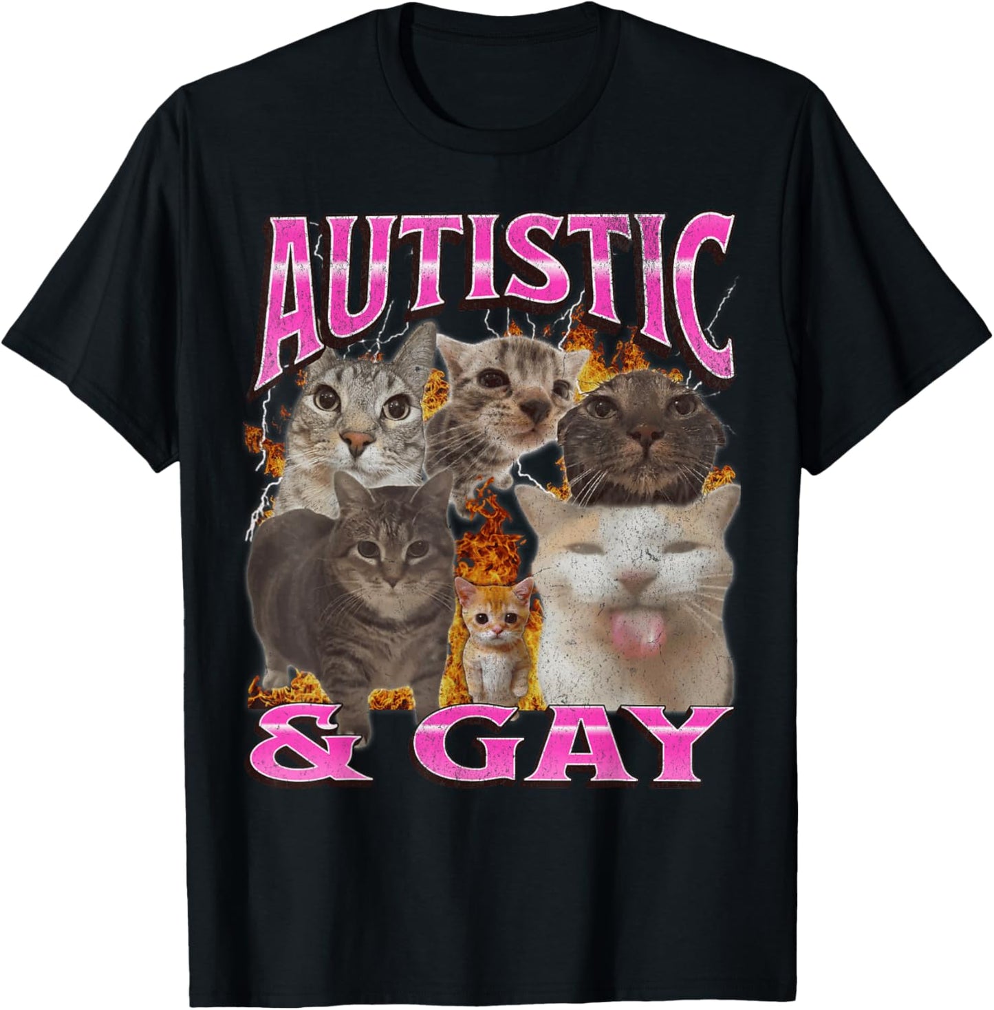 Autistic and Gay Funny Cat Meme Bootleg Graphic T-Shirt