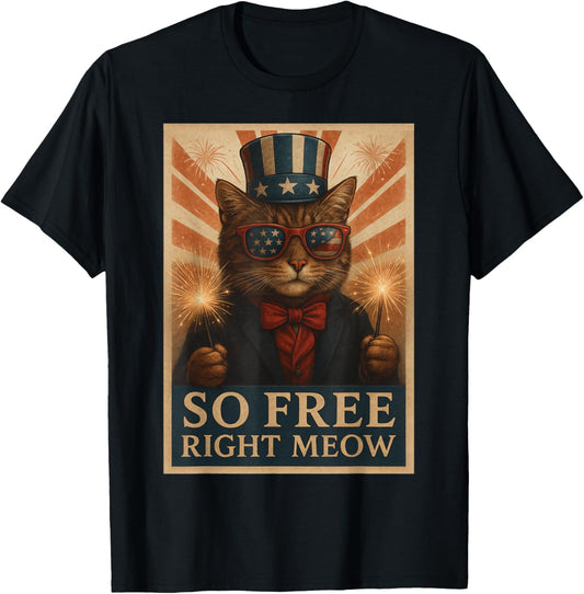 Funny Cats Fourth of July Sayings Shirts So Free Right Meow T-Shirt