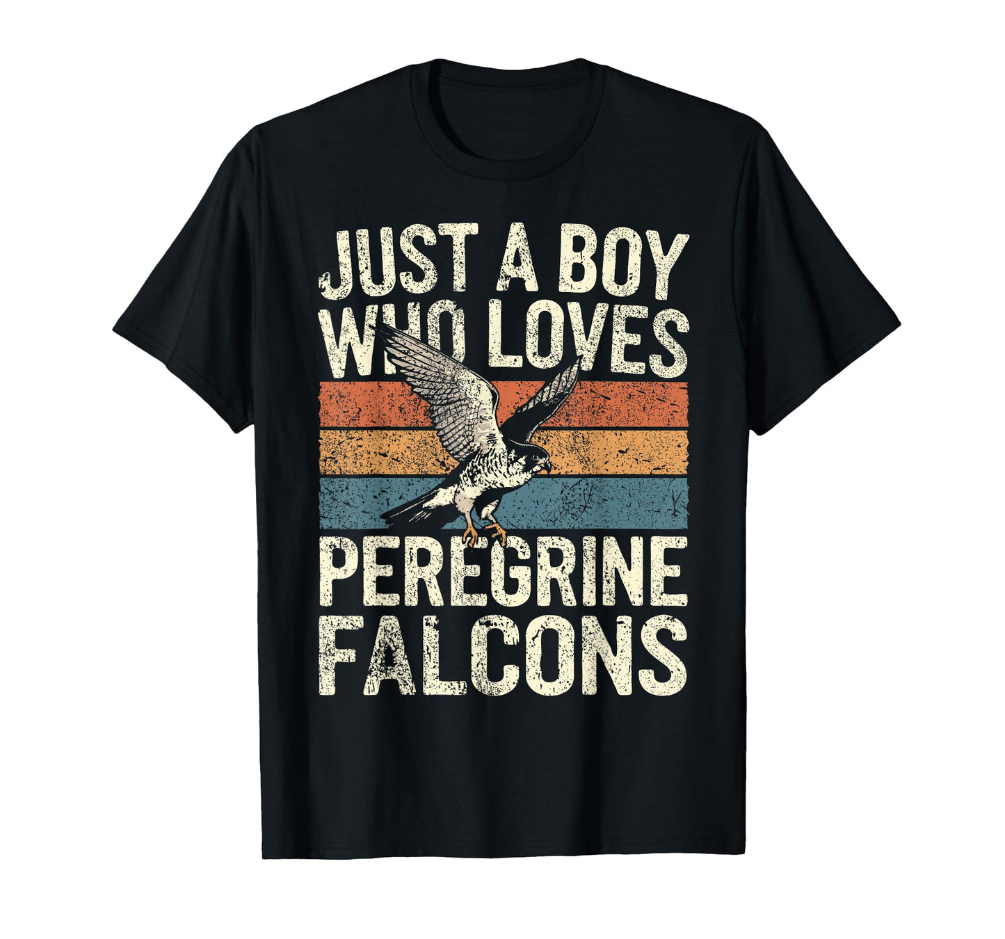 Falconer Boy Loves Peregrine Falcons Falconry T-Shirt