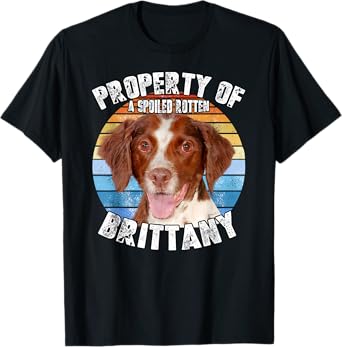 Brittany Spaniel Property Of T-Shirt