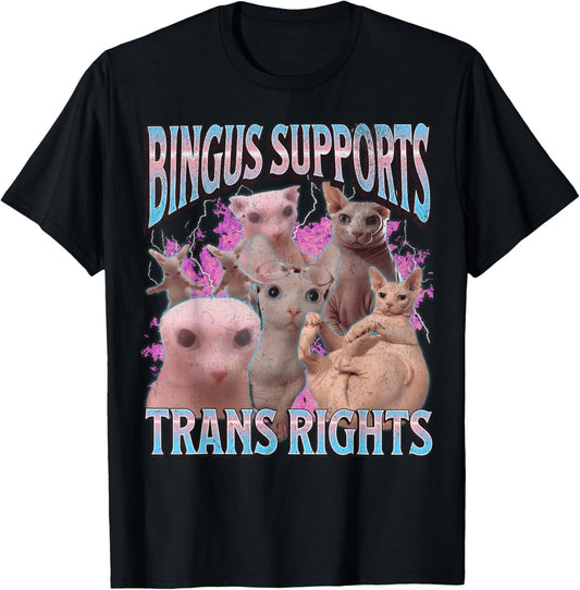 Bingus Supports Trans Rights Funny Sphinx Cat Meme Bootleg T-Shirt