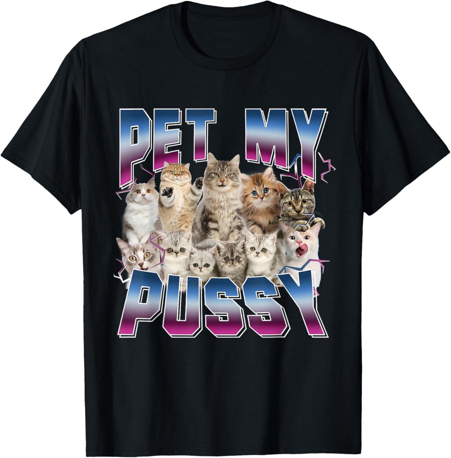 Funny Cat Dirty Rude Saying For Cat Lover Sarcastic Gift T-Shirt