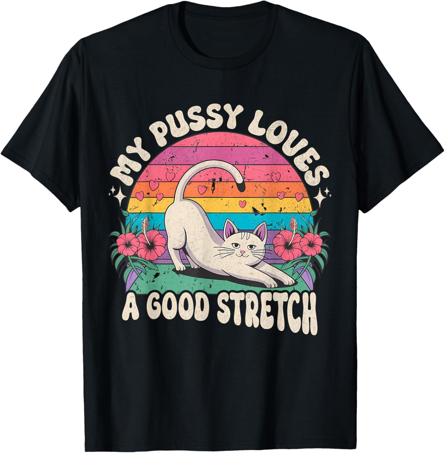 My Pussy Loves A Good Stretch Inappropriate Adult Humor Cat T-Shirt