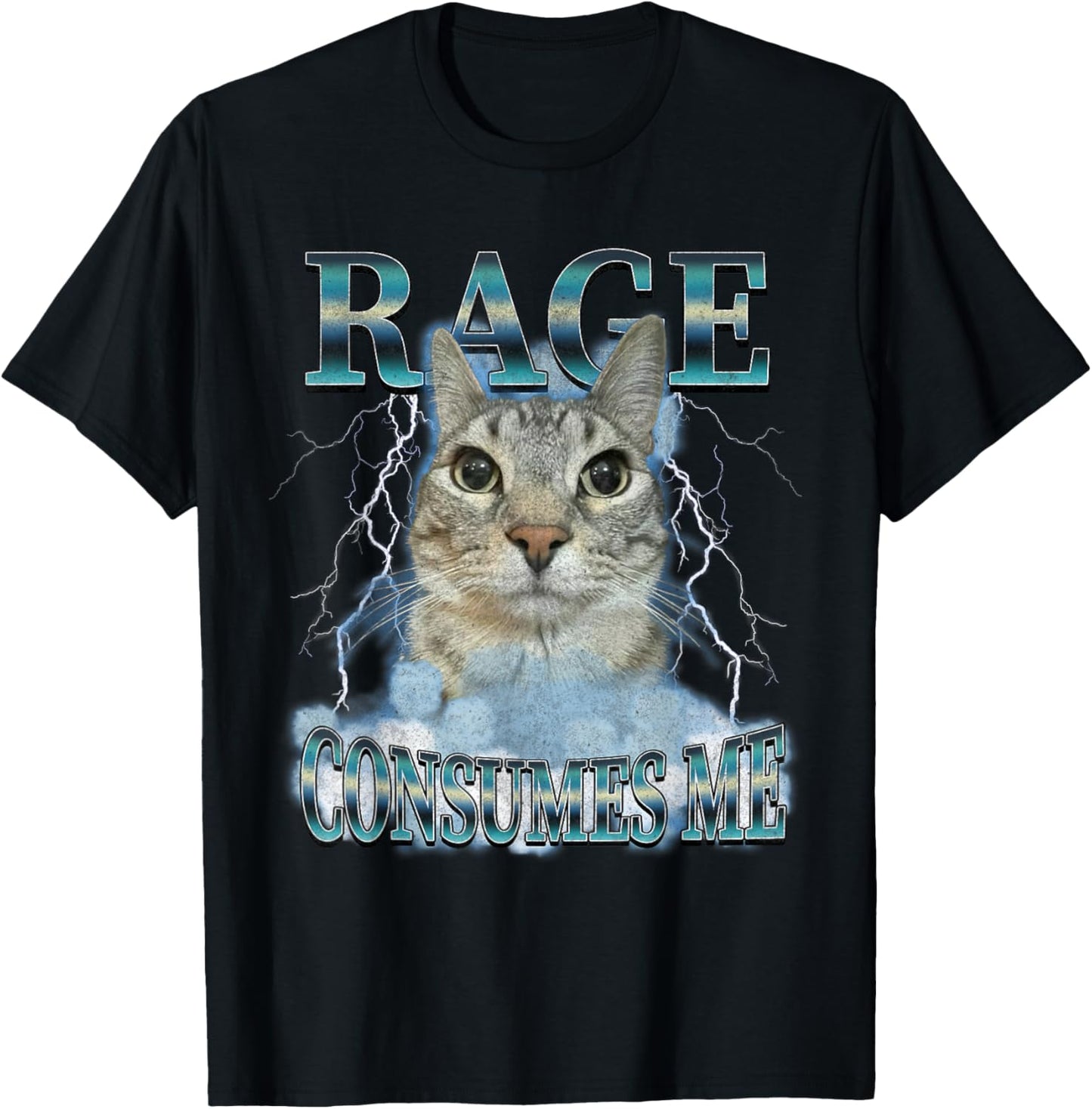Rage Consumes Me Cat Meme Funny Saying Silly Cats Humor T-Shirt