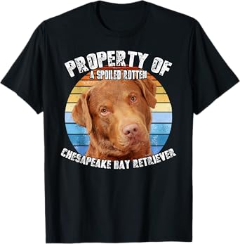 Chesapeake Bay Retriever Property Of T-Shirt