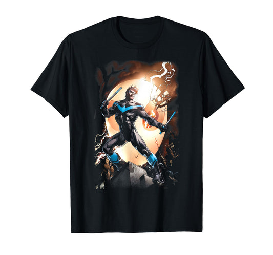 Batman Nightwing Against Owls T-Shirt