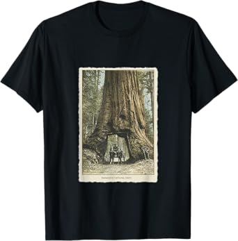 Vintage Redwood Forest T Shirt, California Redwoods Trees T-Shirt