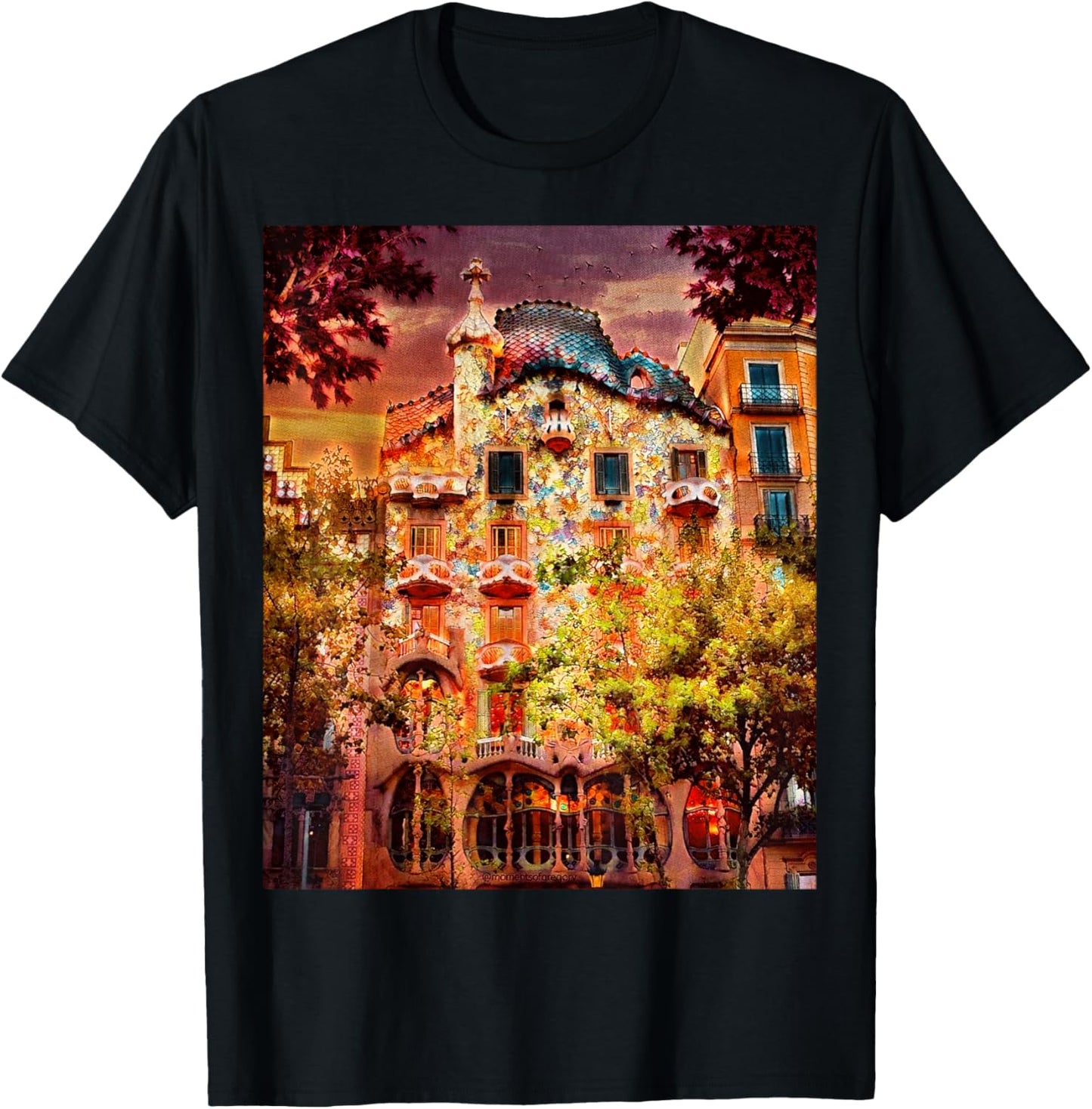 Casa Battlo - Barcelona, Spain T-Shirt